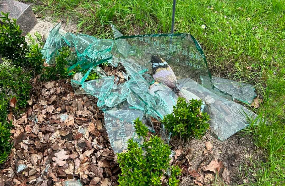 Mohamed B. vernielde graven in Utrecht, 5 jaar cel geëist: 'Was dom bezig'